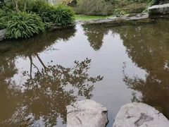-龙头寺公园