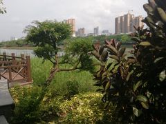 -南宁南湖公园