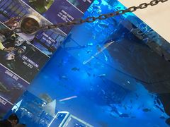 -迪拜水族馆及水下动物园