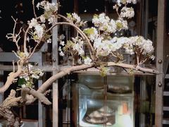 -穹六人间 people 6(岳阳路店)