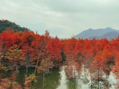 -水墨汀溪风景区