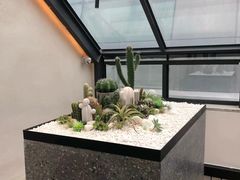 -大树餐厅(红旗街万达店)