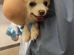 -爱妮康宠物医院·干细胞免疫细胞·肿瘤·心脏(张江店)