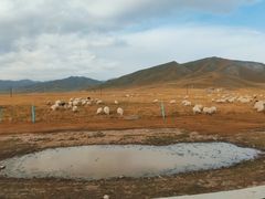 -扁都口生态休闲旅游区
