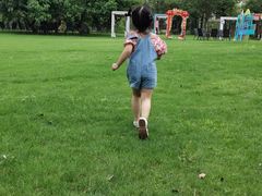 -长兴太湖图影湿地文化园