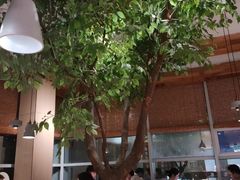 大堂-蜜桃餐厅·伴山(湖滨商业街店)