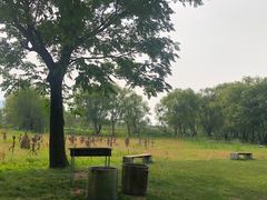 -长兴太湖图影湿地文化园