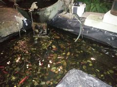 -怪兽咖啡 Monster Cafe