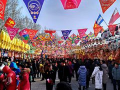 景点-朝阳公园