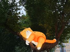 -西安电影制片厂