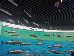 -重庆自然博物馆(新馆)