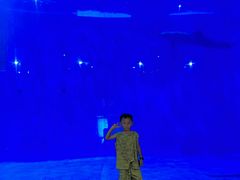 -华夏文旅海洋公园