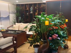 -至爱至信新中式SPA疗愈会所