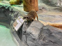 -Zoolung Zoolung动物主题公园(海信广场店)