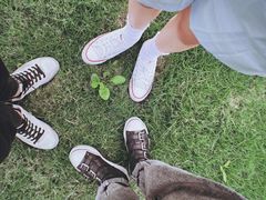 -黄海国家森林公园