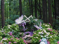 -上海滨江森林公园