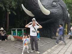 -野象谷景区