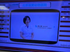 -北京观赏动物医院·24小时大型综合·猫专科·异宠专科