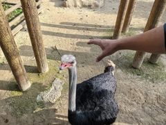 -太原动物园