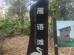 -大湾区中央湿地公园