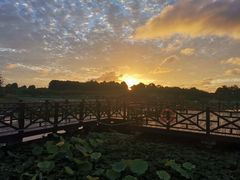 -上海海湾国家森林公园