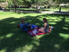 Fitzroy Garden-斐兹洛伊花园