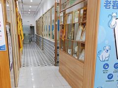 -可蒙动物医院·猫科·骨科中心(首义路店)