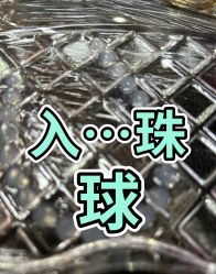 点击看大图 -针牛刺客·刺青纹身