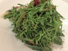 -曼格纳·曼芯馆(杨浦店)