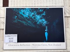 -怀托摩萤火虫洞