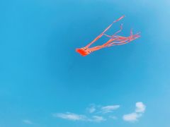 -金梦海湾浴场