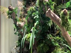 -新海渔港·胶东海鲜家常菜·家宴(奥体中心店)