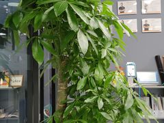 -Orenda健身工作室(平山店)