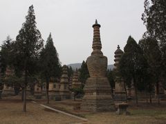 景点-少林寺景区