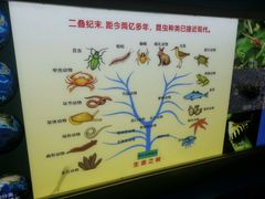 -上海昆虫博物馆