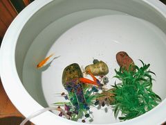 -蒸膳坊(王寨店)