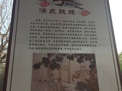 -老磨油饼(高陵店)