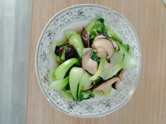 -悦芽照护月嫂+育儿嫂(杭州店)