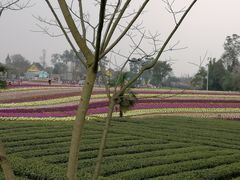 -保利石象湖景区