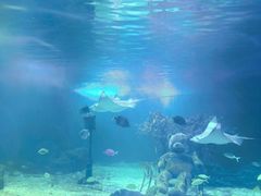 -常州海昌海洋探索馆