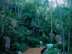 -大岭沟猕猴桃谷风景区