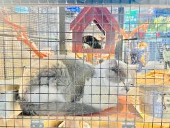 -酷嗒动物文化乐园(cutezoo西溪乐天城店)