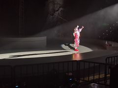 -重庆国际马戏城
