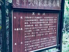 -青峰峡国家森林公园