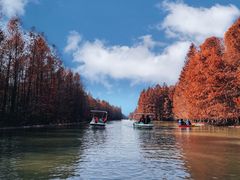 -上海海湾国家森林公园