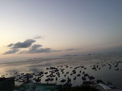 -枸杞岛