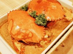 -茉莉.Red Crab