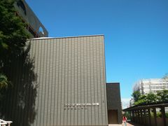 -香港大学