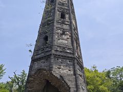 -上海佘山国家森林公园天马山园