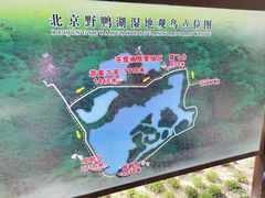 -野鸭湖国家湿地公园